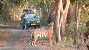 कॉर्बेट नेशनल पार्क में वन अग्नि को लेकर अलर्ट जारी, सुरक्षा के कड़े इंतजाम