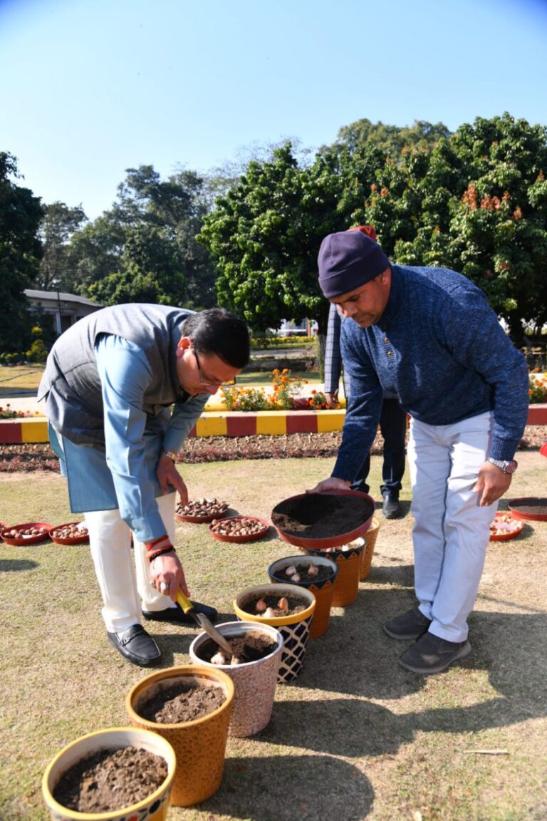 सीएम धामी ने ट्यूलिप की 13 प्रजातियों का किया रोपण