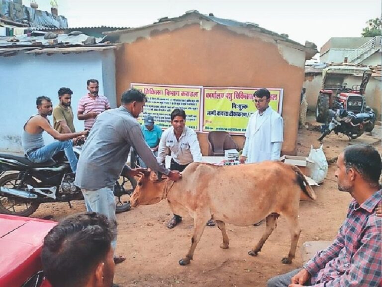 लंपी वायरस ने बढ़ाई राज्य सरकार की चिंता